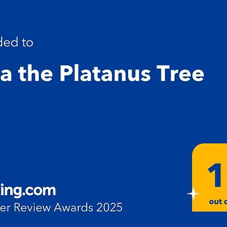 Villa The Platanus Tree Kato Vasiliki Екстериор снимка