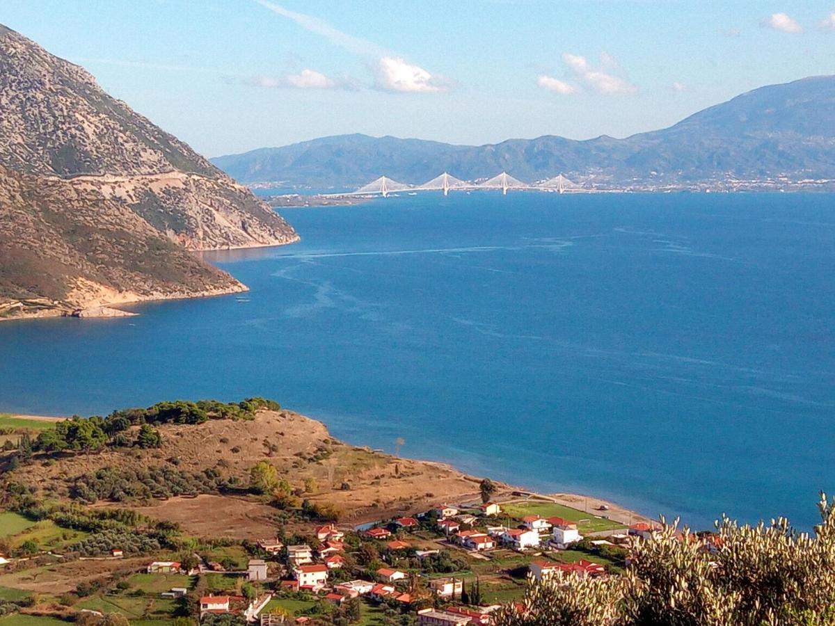 Villa The Platanus Tree Kato Vasiliki Екстериор снимка