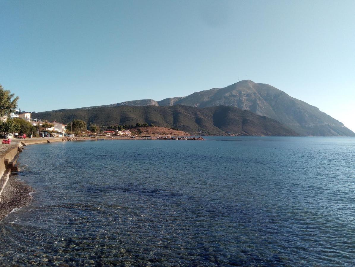 Villa The Platanus Tree Kato Vasiliki Екстериор снимка