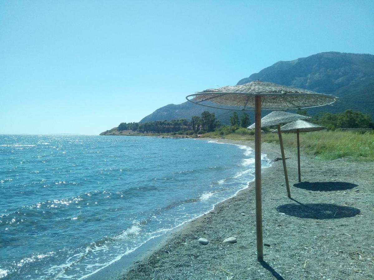 Villa The Platanus Tree Kato Vasiliki Екстериор снимка