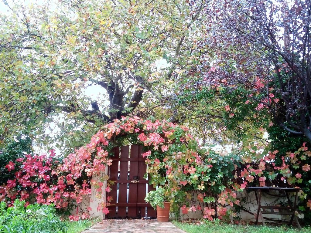 Villa The Platanus Tree Kato Vasiliki Екстериор снимка