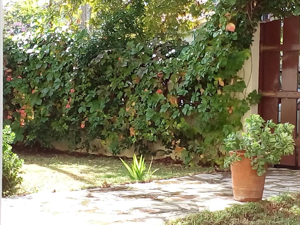 Villa The Platanus Tree Kato Vasiliki Екстериор снимка