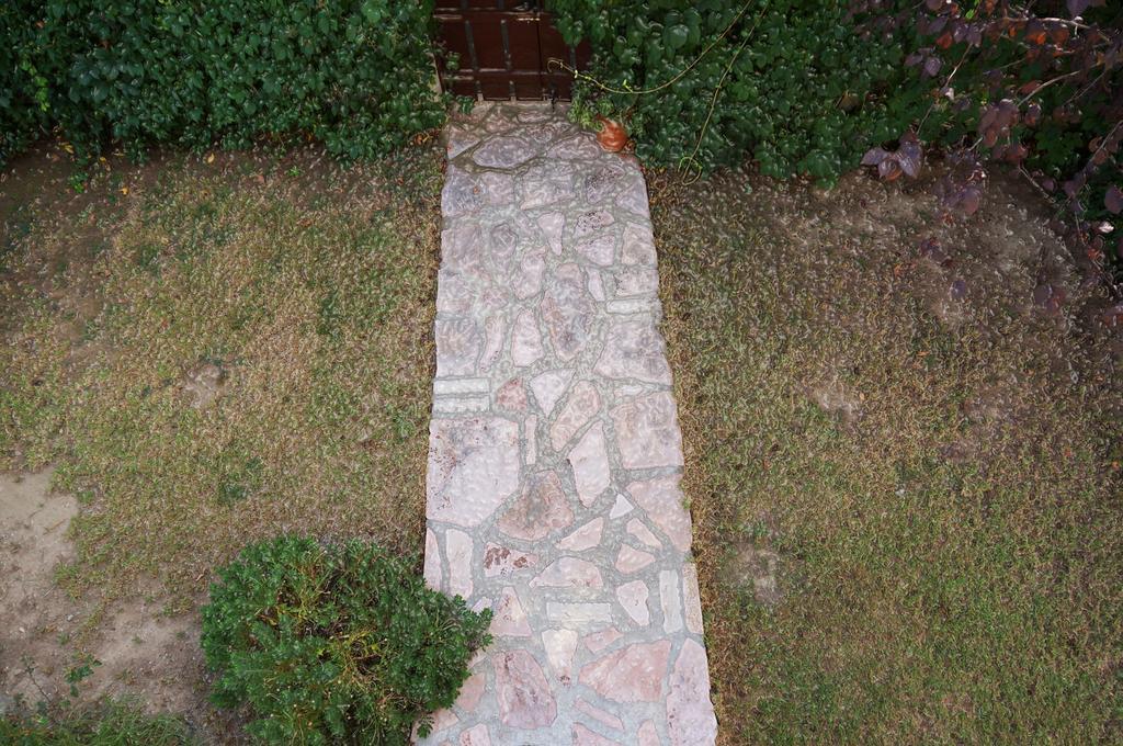 Villa The Platanus Tree Kato Vasiliki Екстериор снимка