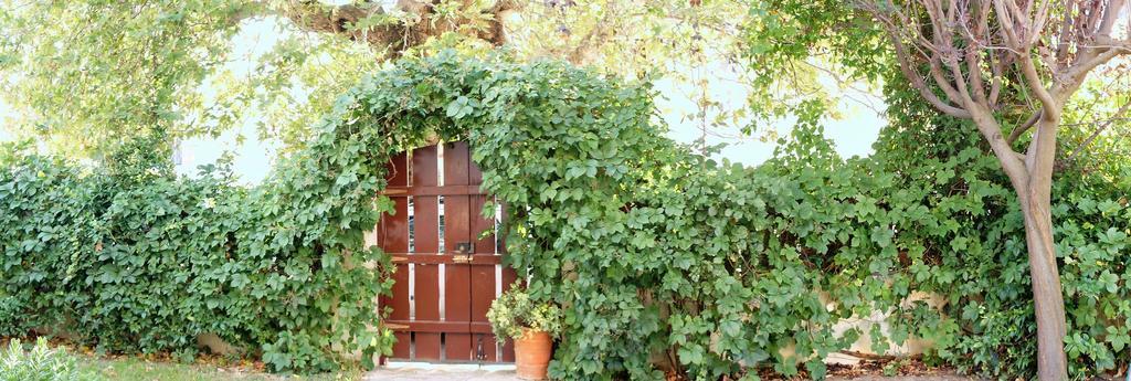 Villa The Platanus Tree Kato Vasiliki Екстериор снимка