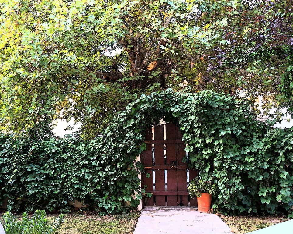 Villa The Platanus Tree Kato Vasiliki Екстериор снимка