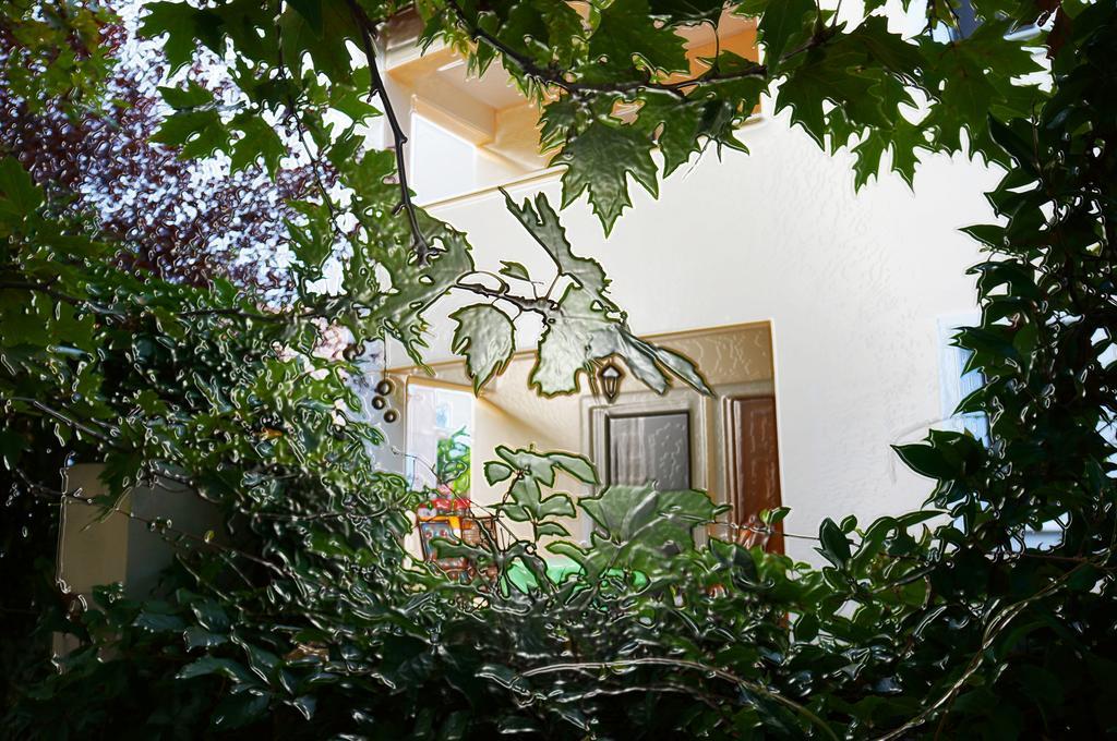 Villa The Platanus Tree Kato Vasiliki Екстериор снимка