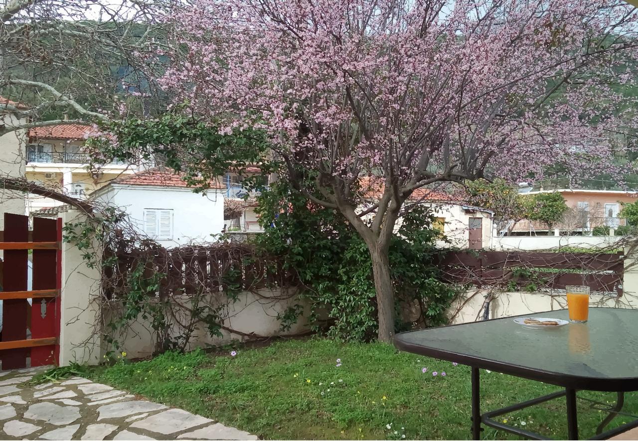 Villa The Platanus Tree Kato Vasiliki Екстериор снимка