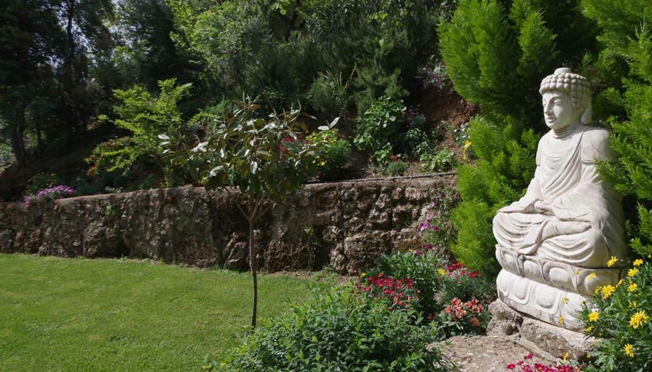 Villa The Platanus Tree Kato Vasiliki Екстериор снимка